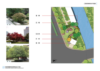 园林景观设计TOP4塘桥项目二(张家港塘桥项目景观设计方案)